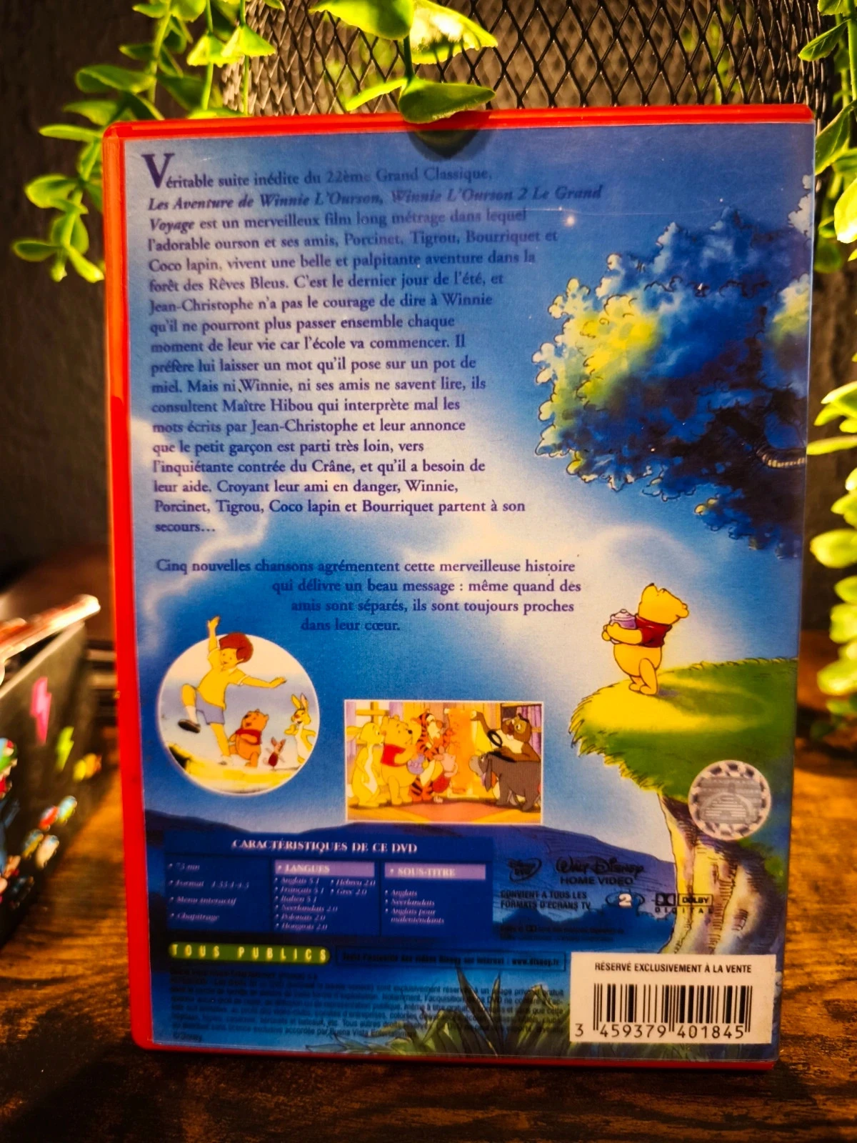 Winnie l'ourson 2 le grand voyage – photo 2